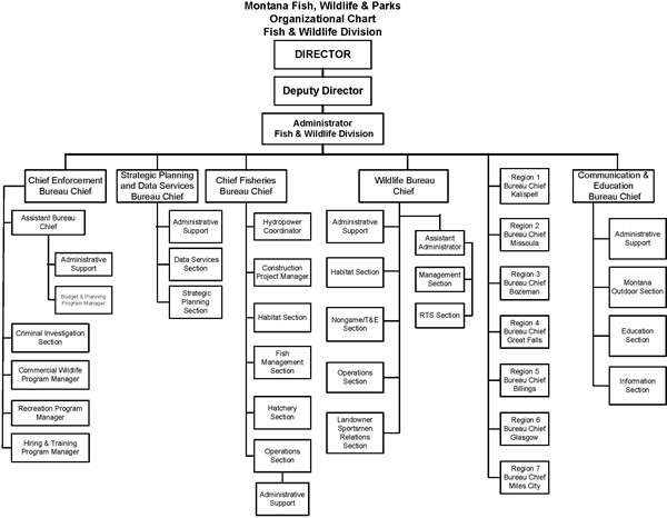 Montana Fish, Wildlife & Parks, Organization Chart, Fish & Wildlife Division