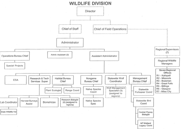 Department of Fish, Wildlife and Parks, Wildlife Division, Organizational Chart